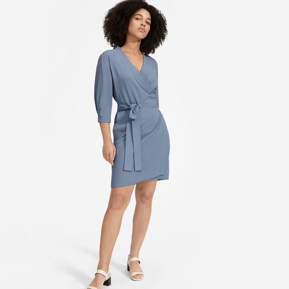 Everlane Wrap Dress
